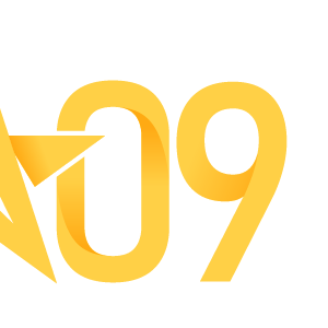 Team Page: 2009